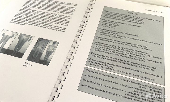 Мышечные цепи Бюске