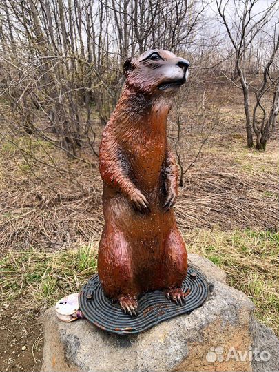 Обзорная экскурсия