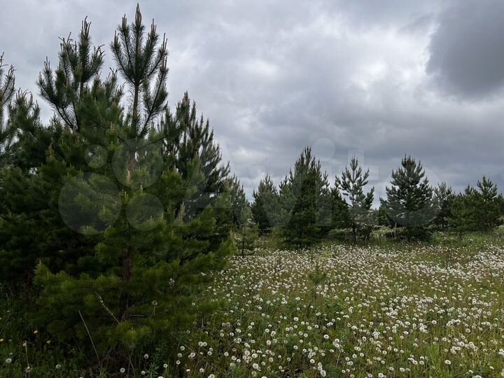 Участок 7 сот. (СНТ, ДНП)