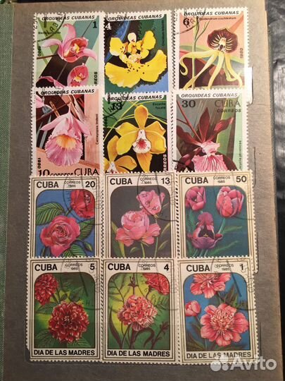 Почтовые марки флора