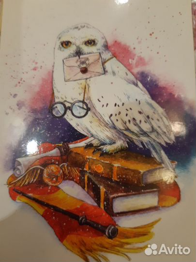 Открытки Совы