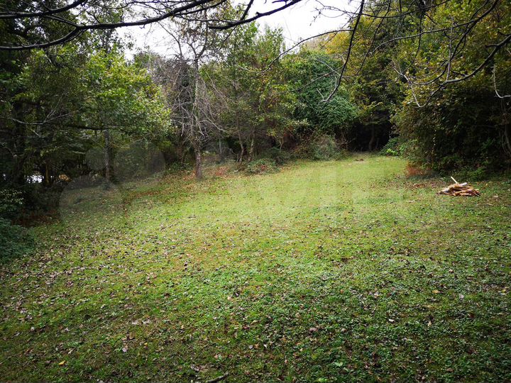 Участок 6 сот. (ИЖС)