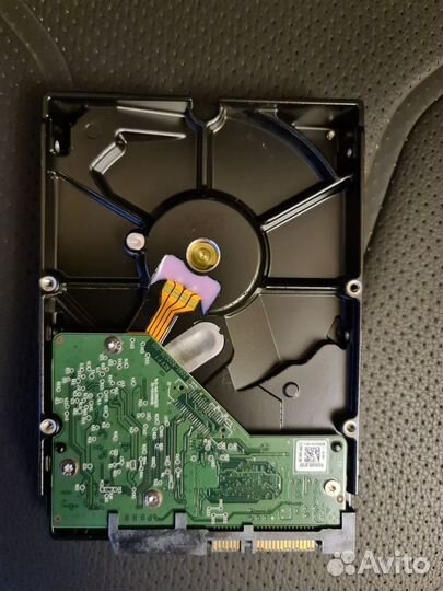 Жёсткие диск WD Blue 160, 500 Гб