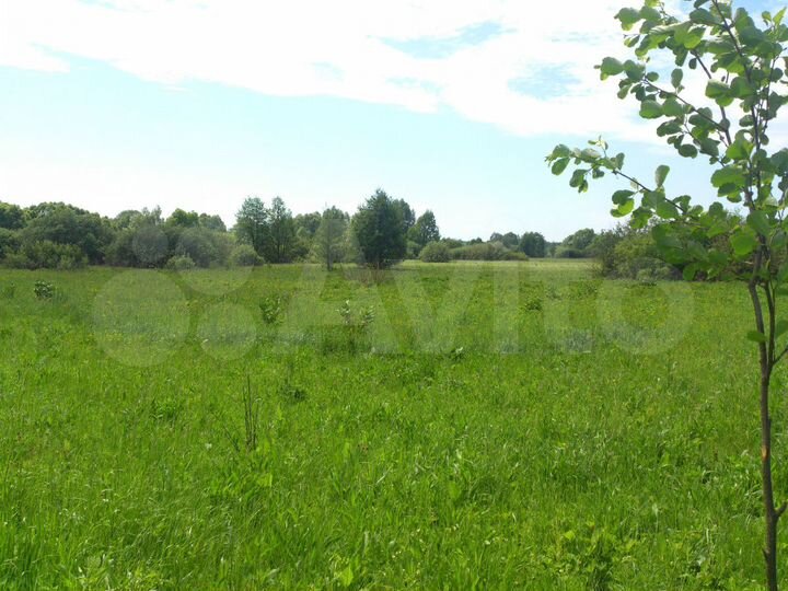 Участок 11 га (СНТ, ДНП)