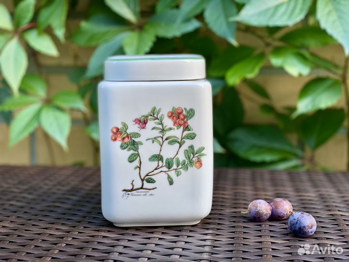 Банка с ягодами Seltmann Weiden