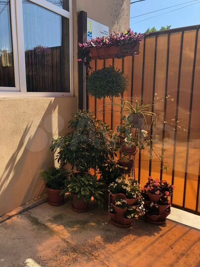 Комната 14 м², 2/3 эт.