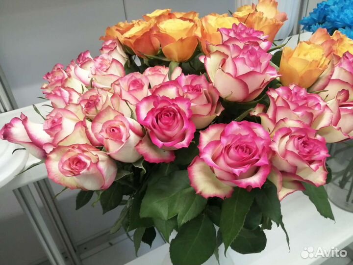 Розы Цветы Букеты Доставка Тула