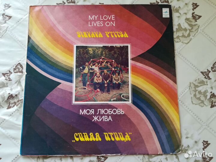 Синяя Птица Моя Любовь Жива / NM / 1981 / мозг 1st