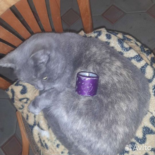 Зажим спутник