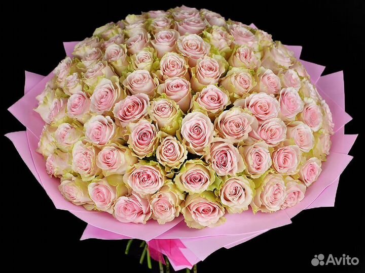 Цветы 101 роза