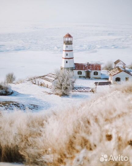 Тур Мержаново+дельфинарий+ Лога