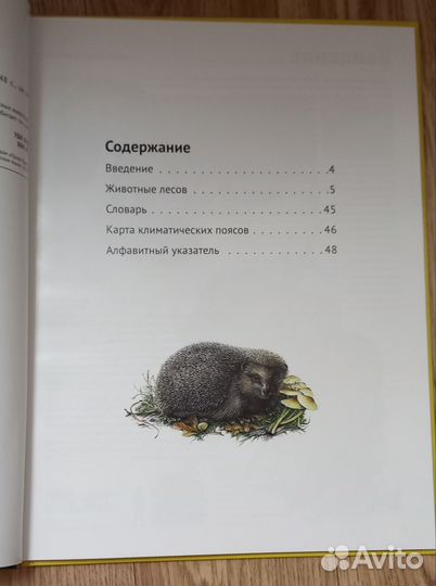 Энциклопедия леса