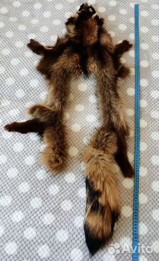 Мех енота шкура