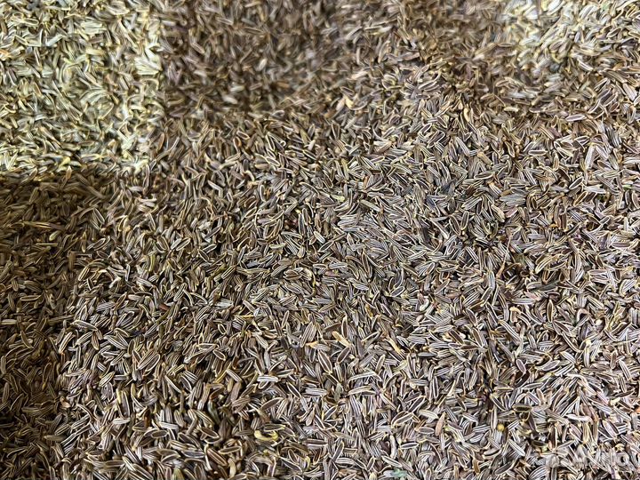 Специи и приправы оптом и в розницу