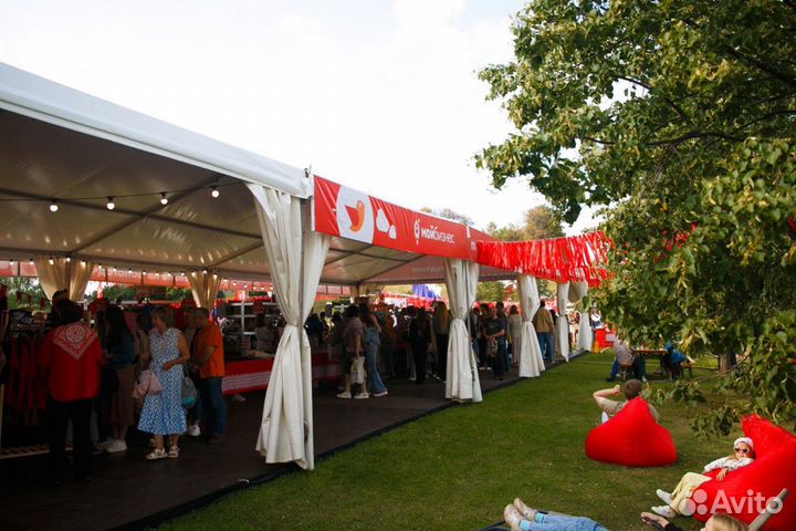 Тентовый павильон 10