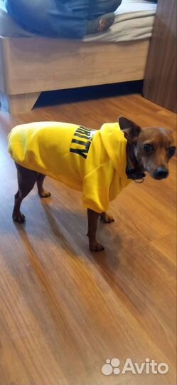 Кофта для собаки