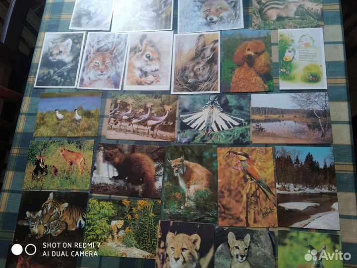 Открытки СССР