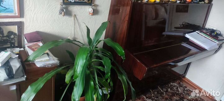 Фортепиано