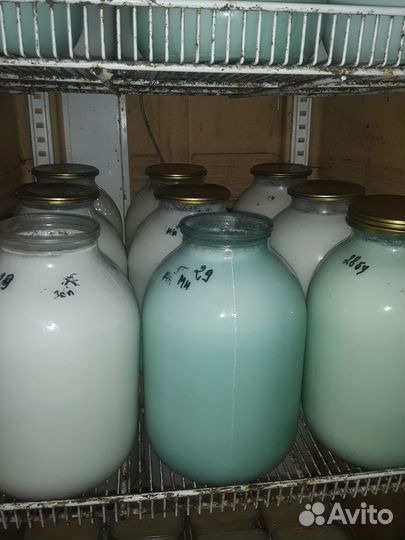 Молоко творог