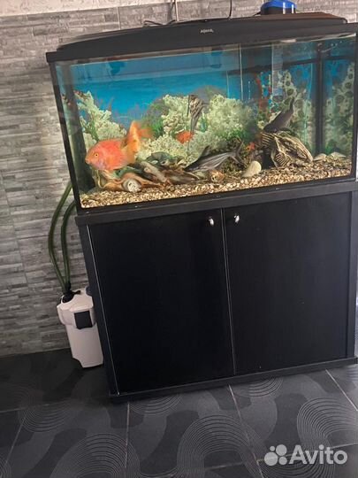 Аквариум с тумбой
