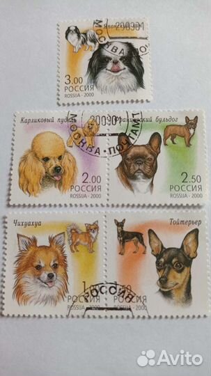 Серия почтовых марок Декоративные собаки