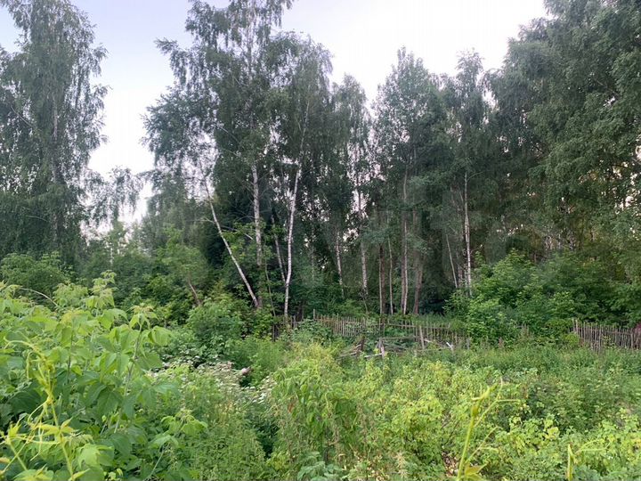 Участок 12 сот. (СНТ, ДНП)