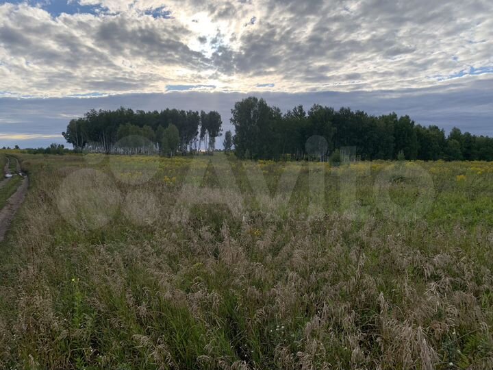 Участок 50 га (СНТ, ДНП)