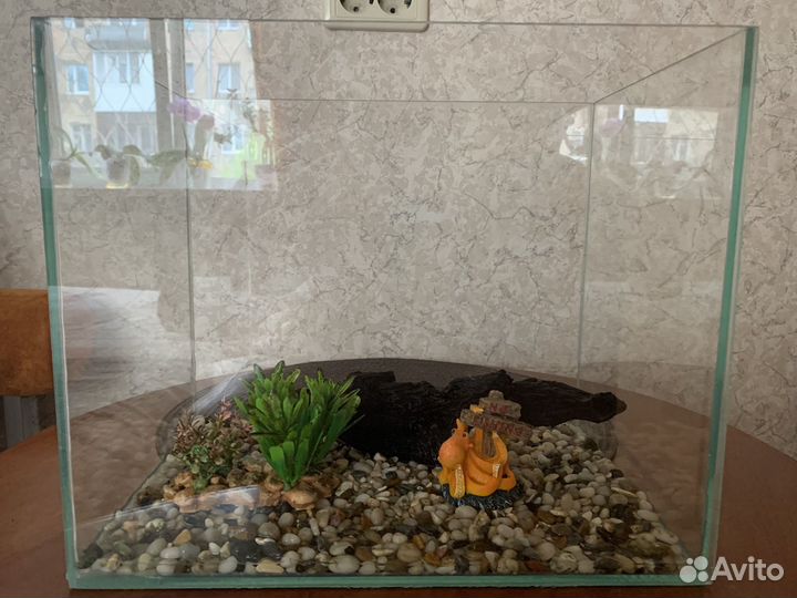 Аквариум