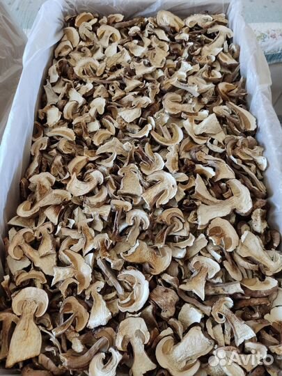 Сухие белые грибы