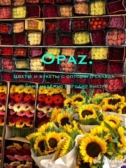 Розы цветы хризантемы