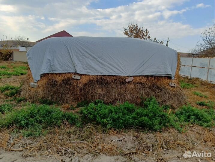 Продам сено