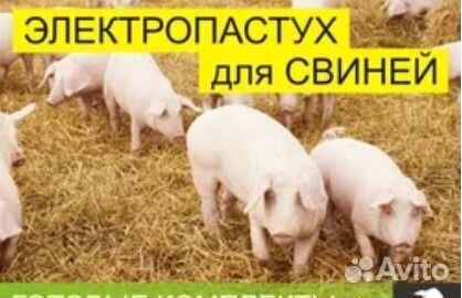 Эл.изгородь для коров,свиней,телят,кроликов,гусей