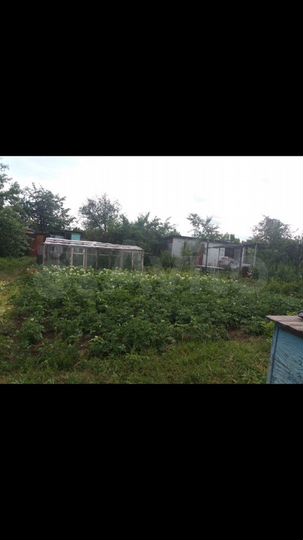 Дача 20 м² на участке 6 сот.