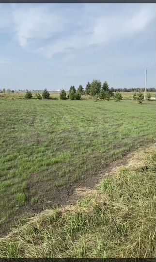 Участок 12,7 сот. (СНТ, ДНП)