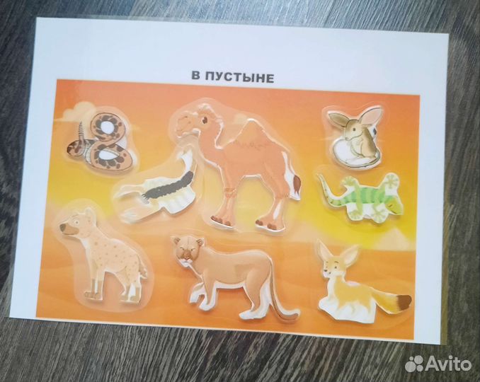 Игры на липучках