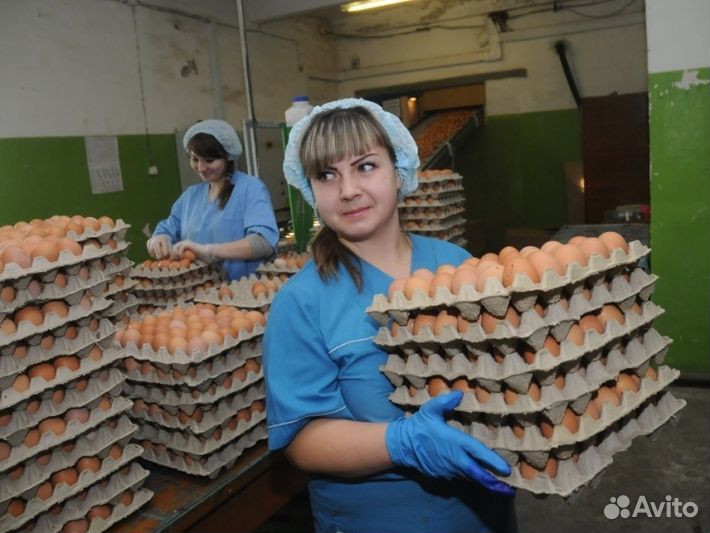 Работа в Кунгуре.Грузчик на птицефабрику