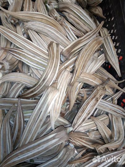 Стручки бамии