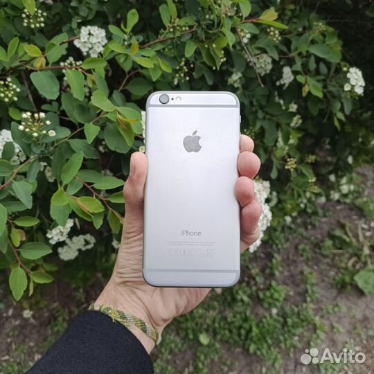 iPhone 6, 64 ГБ