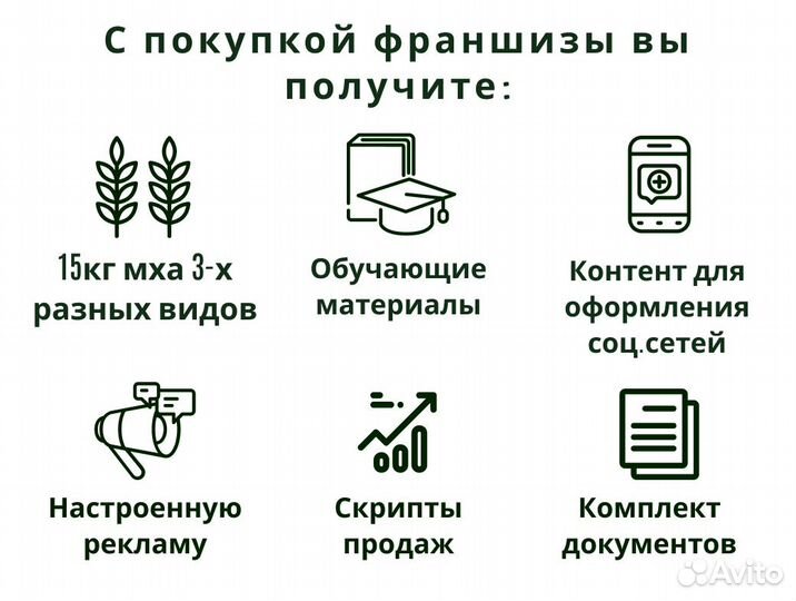 Прибыльная франшиза производства декора из мха