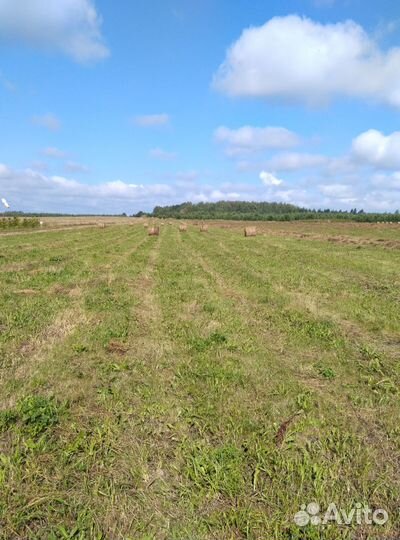 Сено в рулонах