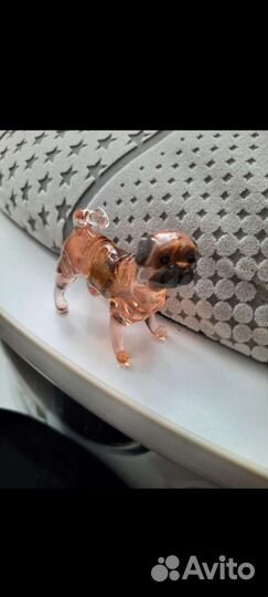 Породы собак