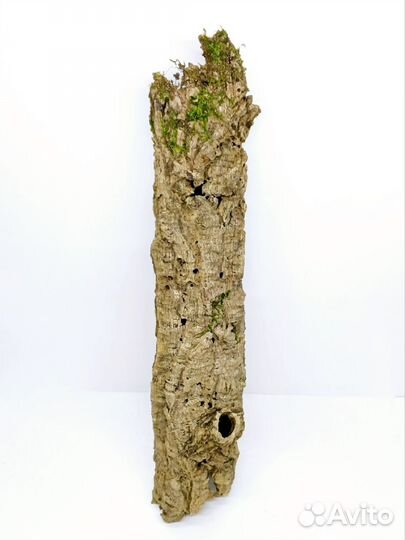 Кора пробкового дуба цилиндры
