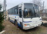 Междугородний / Пригородный автобус ПАЗ 4230, 2005