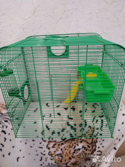 Клетка (без дна)