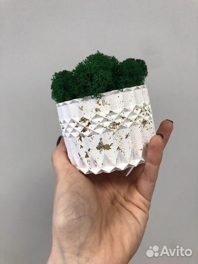 Кашпо со мхом/стабилизированный мох/декор