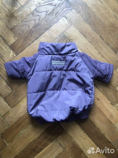 Новые вещи для собаки, пакетом. Аксессуары щенка