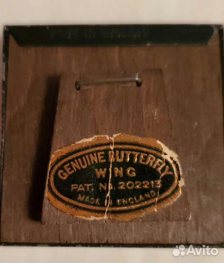 Миниатюра, на крыле бабочки