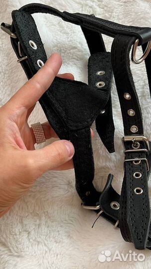 Шлейка для средней собаки