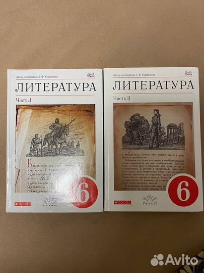 Учебник по литературе 6 класс