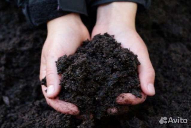 Чернозем земля плодородная с доставкой
